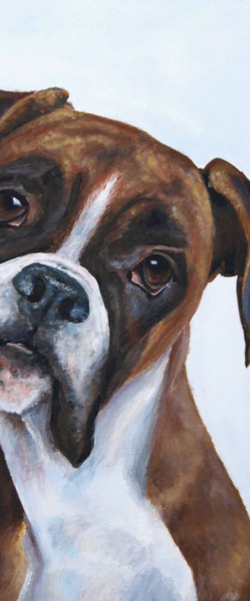 Max (Boxer) by Ruth  Aslett