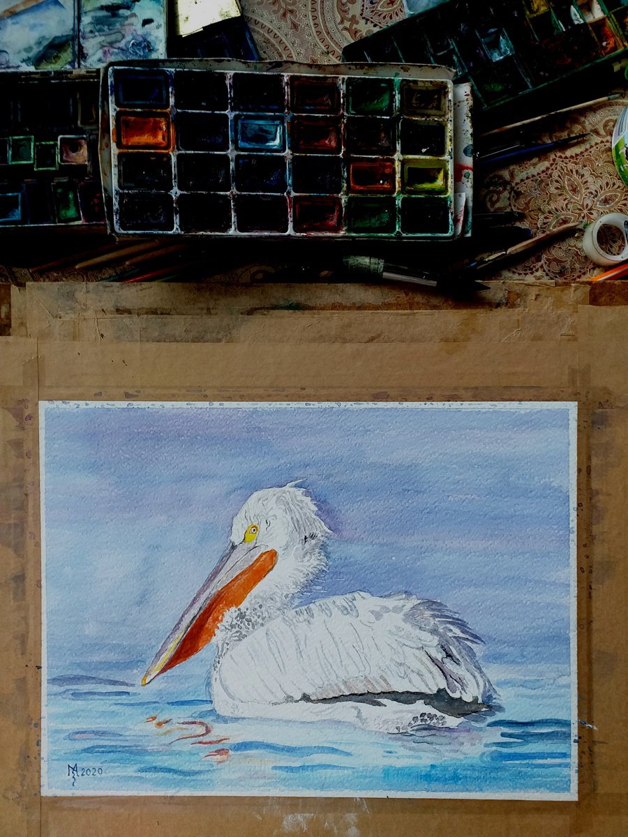 Impressionistic Animal Watercolour By Zoran Mihajlovic Muza, 14 X 10", Pelican, Original Artwork