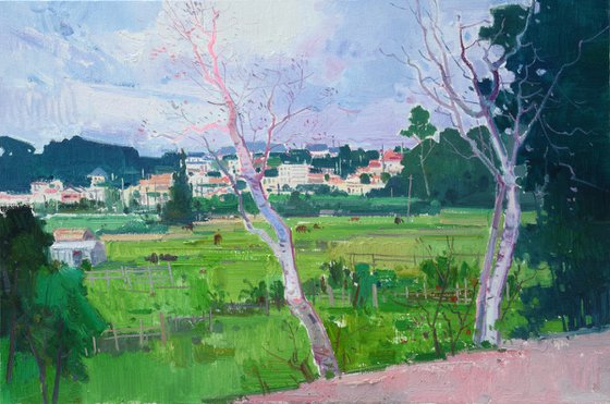 Summer in village 278