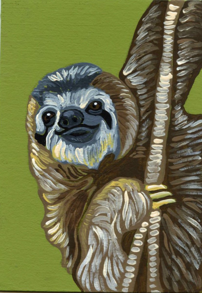 Sloth by Carla Smale
