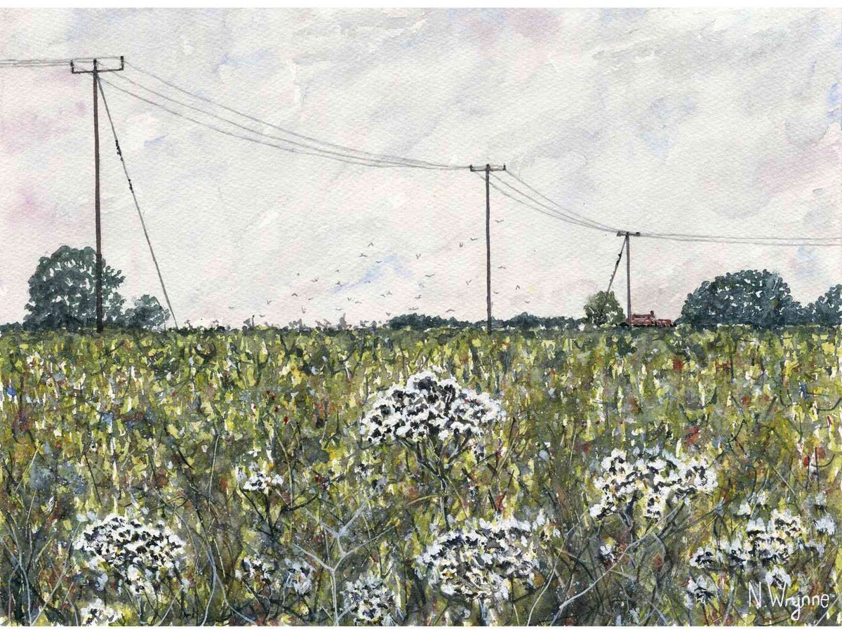 Impressionistic Botanical Watercolour By Neil Wrynne, 15 X 11", Thistledown, Original Artwork