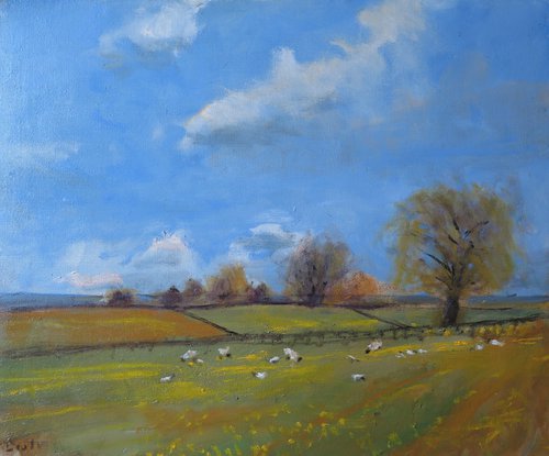 Spring  in the Yorkshire Wolds by Malcolm Ludvigsen