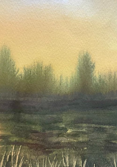 Arne Sunset, Dorset by Samantha Adams