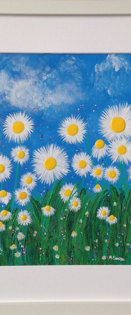 Daisies by Miki Sexton