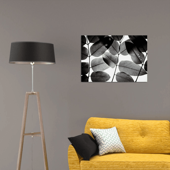 Experiments with Leaves II | Limited Edition Fine Art Print 1 of 10 | 75 x 50 cm