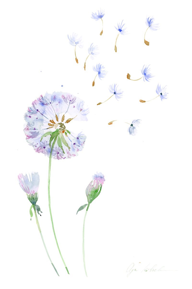 soft dandelion watercolor by Olga Koelsch