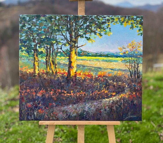 Golden Hour of Early Autumn