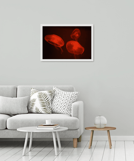 At the aquarium #4 | Limited Edition Fine Art Print 1 of 10 | 75 x 50 cm