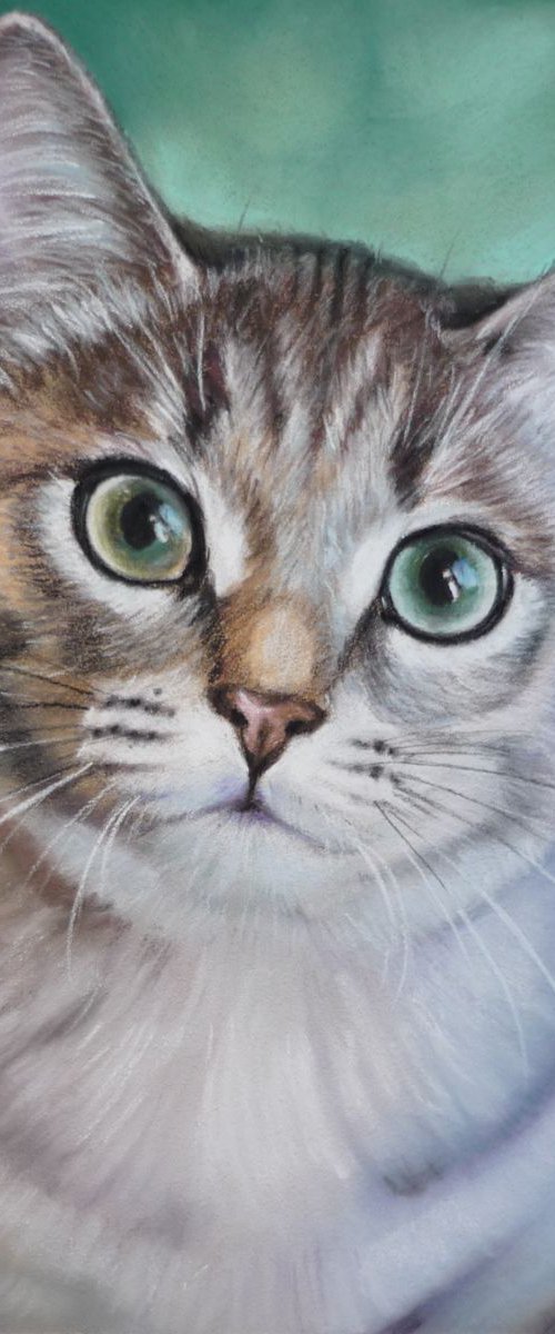 Kitty Frey. Original Pastel Portrait by Elena Bondarenko