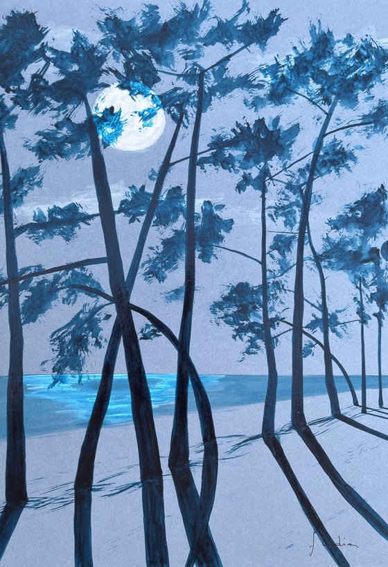 Moonlight at Cap Coz