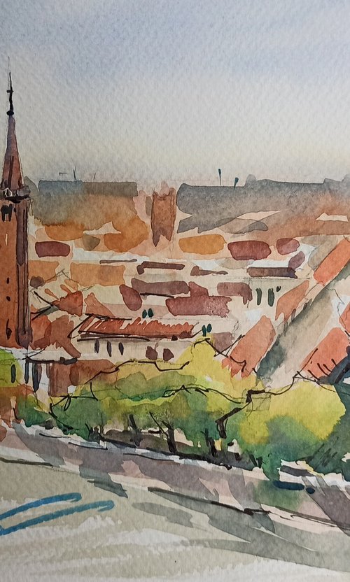 Verona Panorama Plein Air by Olga Drozdova