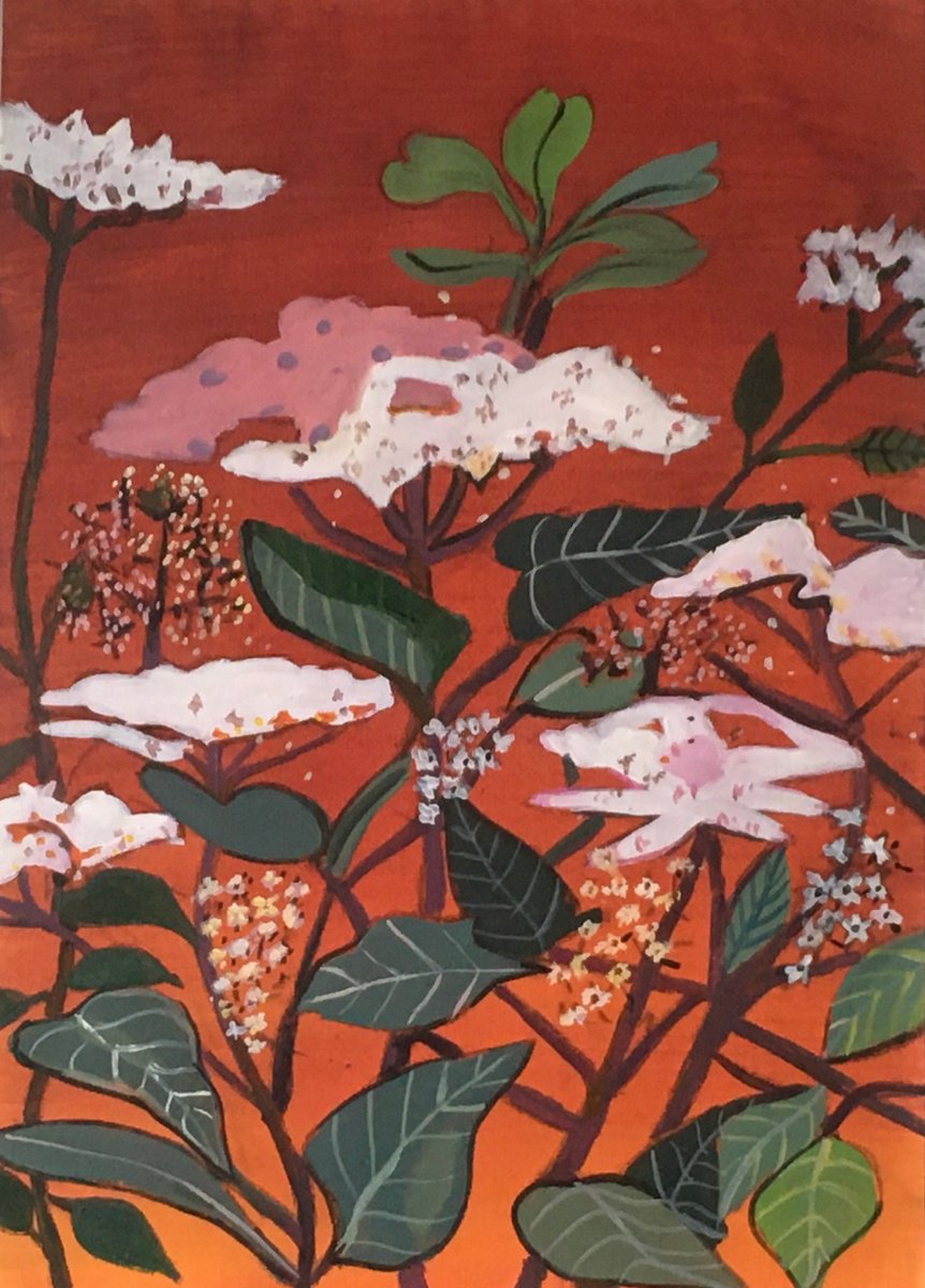 Impressionistic Botanical Acrylic Painting By Chihiro Kinjo, 11 X 17, Elderflower-1, Original Artwork