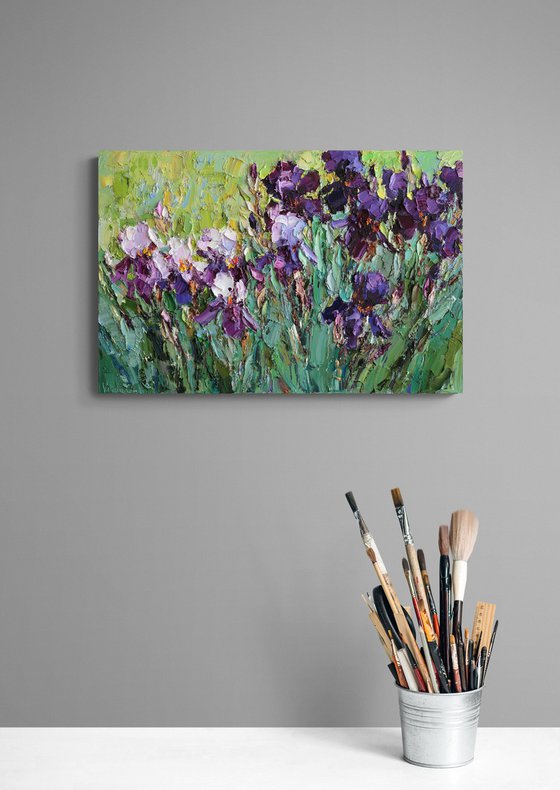 Blooming Irises