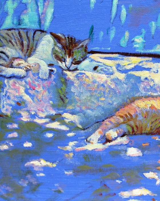 Kitty’s in Provence #1