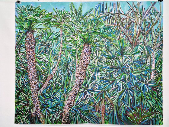 Palm trees