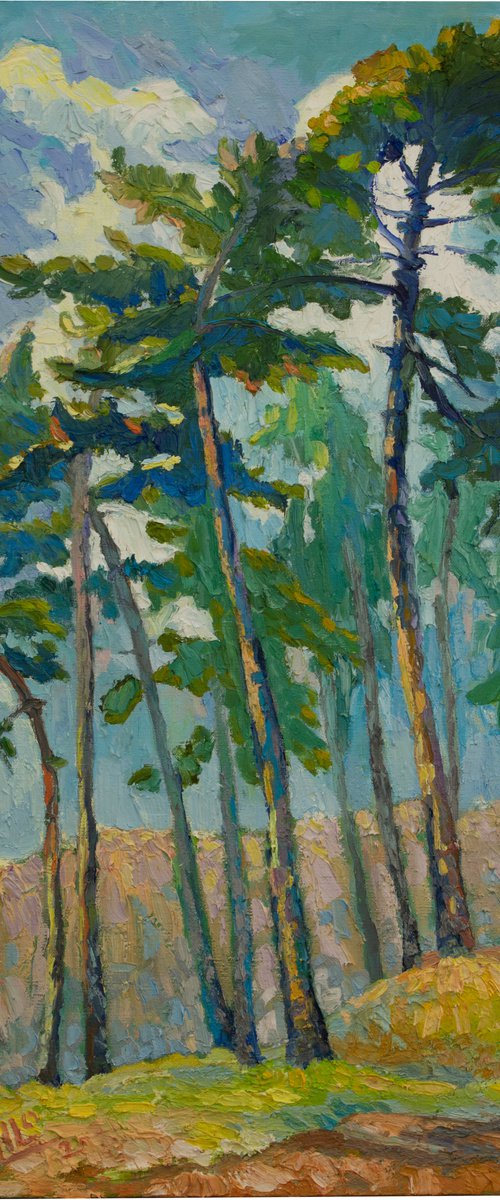 Pine trees by Lilit Vardanyan