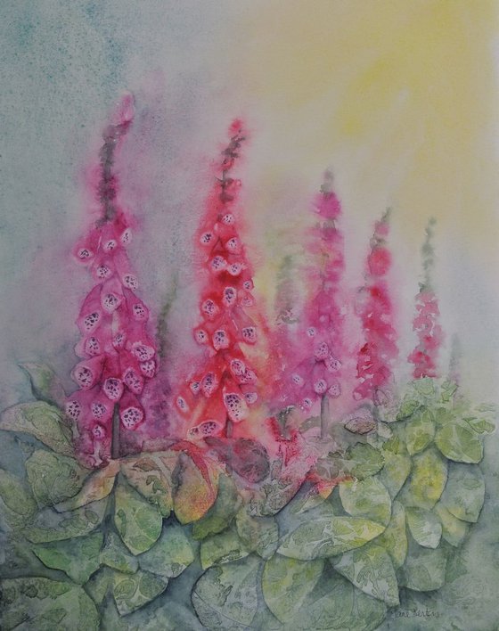 Vibrant Foxgloves - Original Watercolour