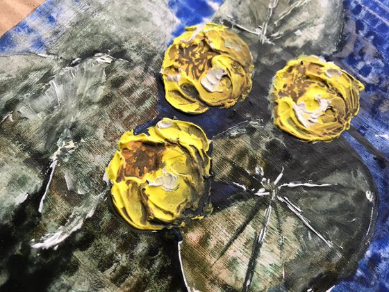 Water lilies in yellow 2