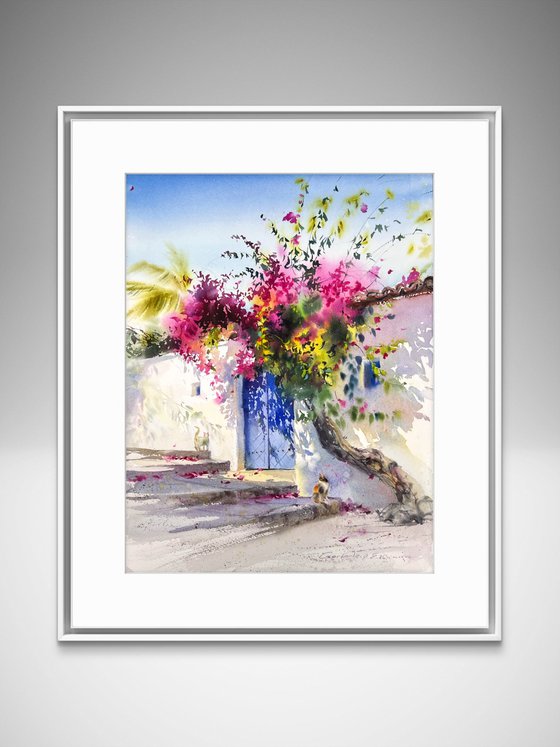 Where Bougainvillea Blooms