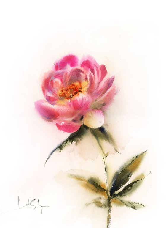 Pink Peony