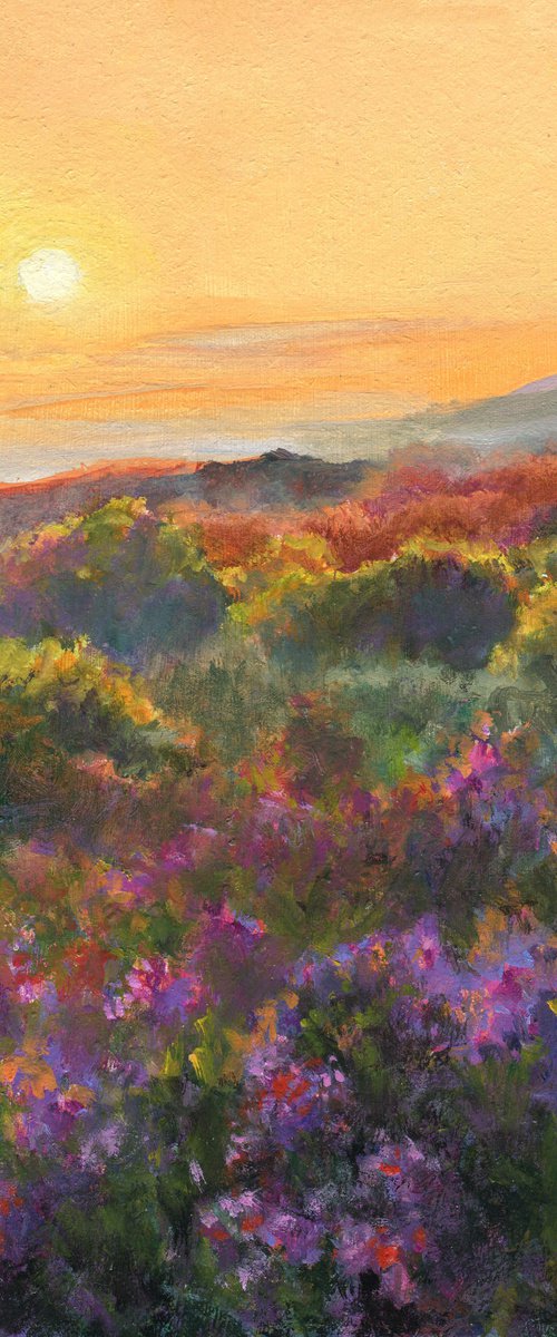 'Carnival of colors' by Lucia Verdejo