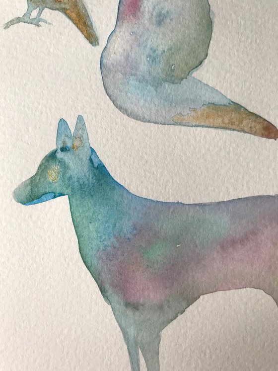 Animal Folklore
