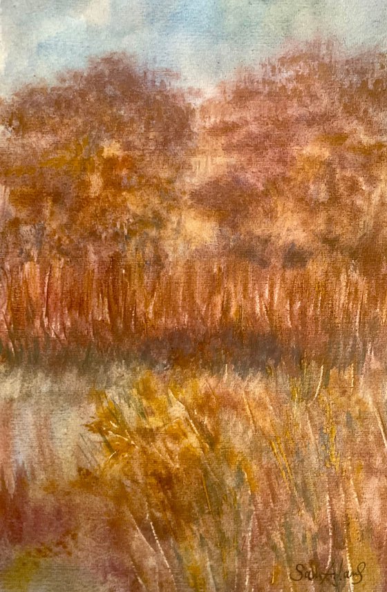 Smallbrook meadow, Wiltshire