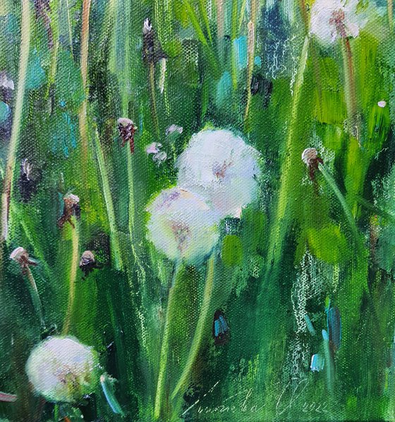 Dandelions