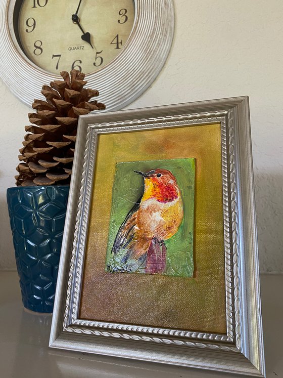 Rufous hummingbird oil painting  mounted on gessoed panelboard 5x7