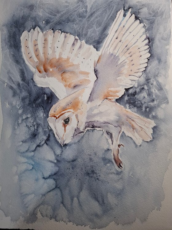 Owl in flight