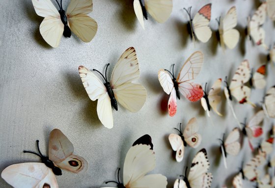 Wall Sculpture Butterfly Park 9