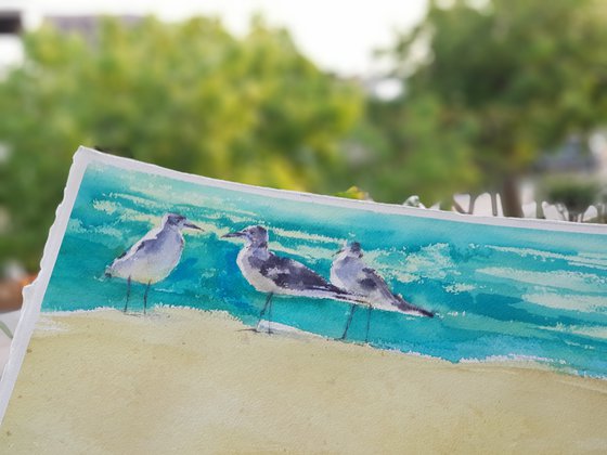 Gossips. Seagulls