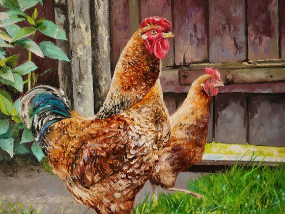 Country Chickens