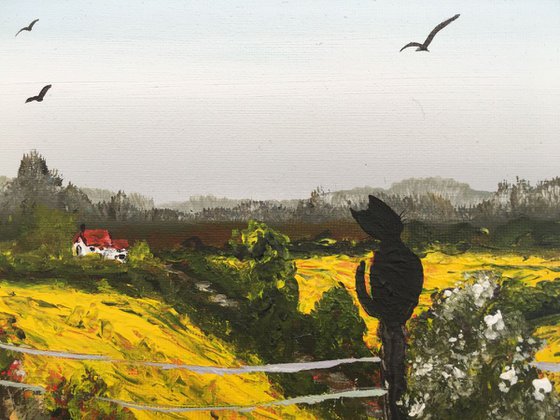 Rapeseed fields and the cat