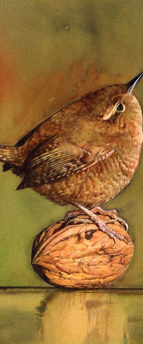 Eurasian wren - The Nut by REME Jr.