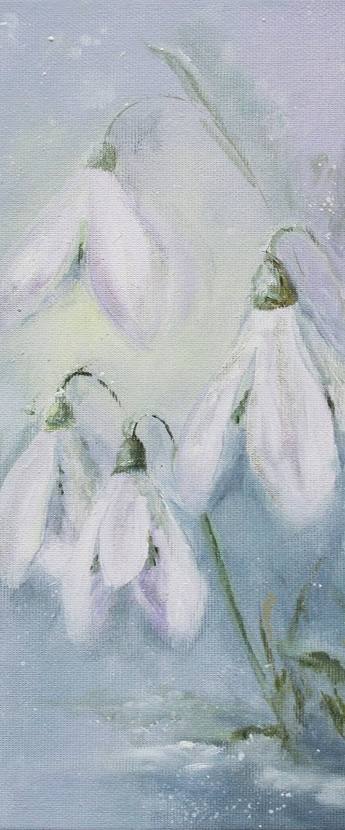 Snowdrops in the Morning Haze by Katerina Koroleva