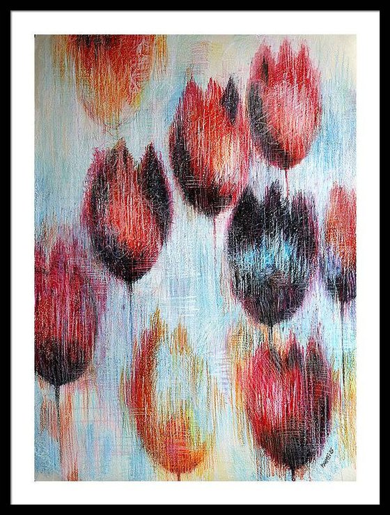 Multicolored Tulips 1