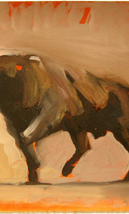 Toro XVII (study) by Zil Hoque