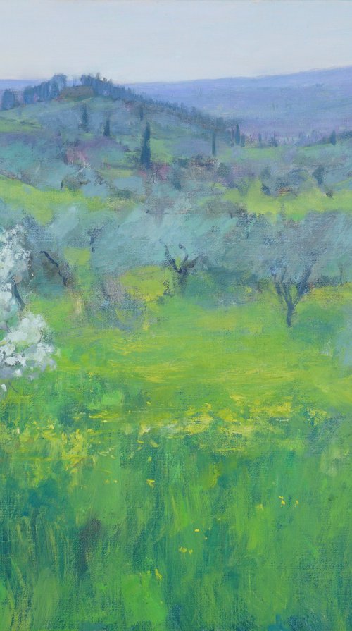 Spring, Tuscany by Alex James Long