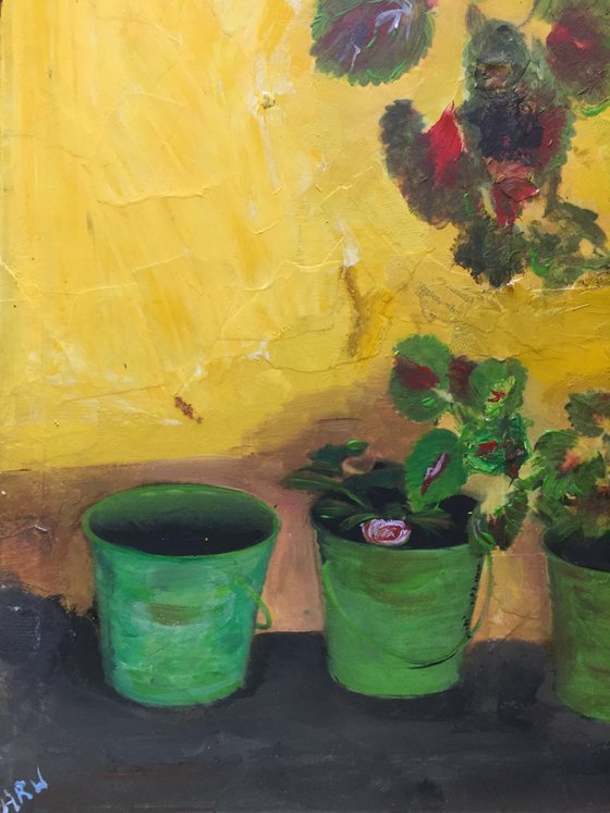 Yellow Wall, Greek Flowers