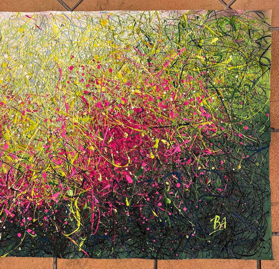 Dreaming Blooms