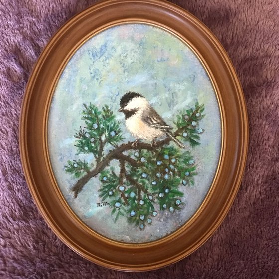 CHICKADEE # 51 - 10X8 oval oil  (SOLD)