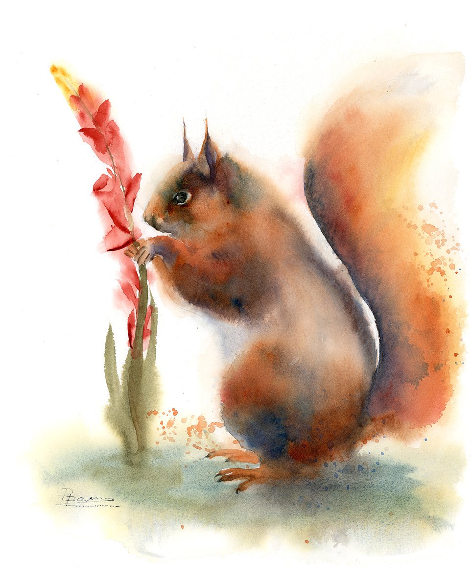 Impressionistic Watercolour , Squirrel And Flower By Olga Tchefranov (Shefranov), 12 X 15, Artwork For Sale On Artfinder