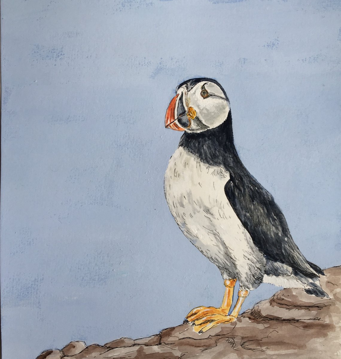 Puffin #1 by Laurence Wheeler