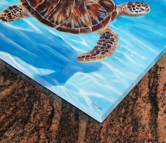 Sea turtle