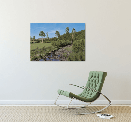 Verdant Meadow With Creek