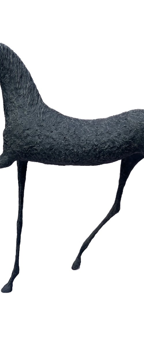 Sahar by Alexandra Shorey