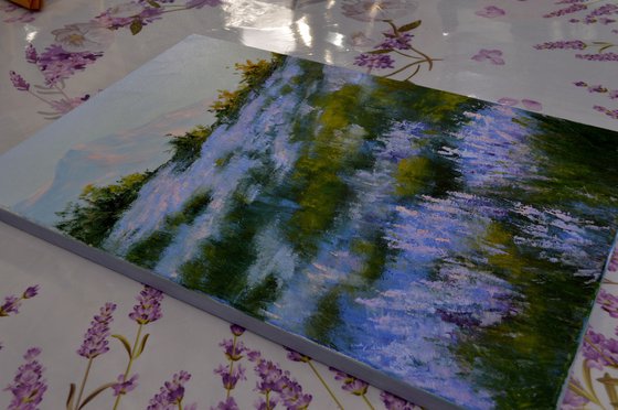 Wild lavender in the haze of the morning sun