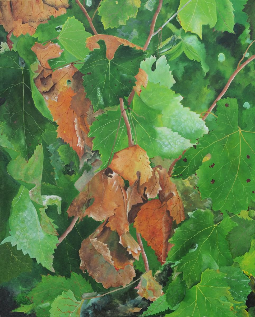Bordeaux Vineyard 6 By Steven Fleit, 24 X 30, Artwork For Sale On Artfinder