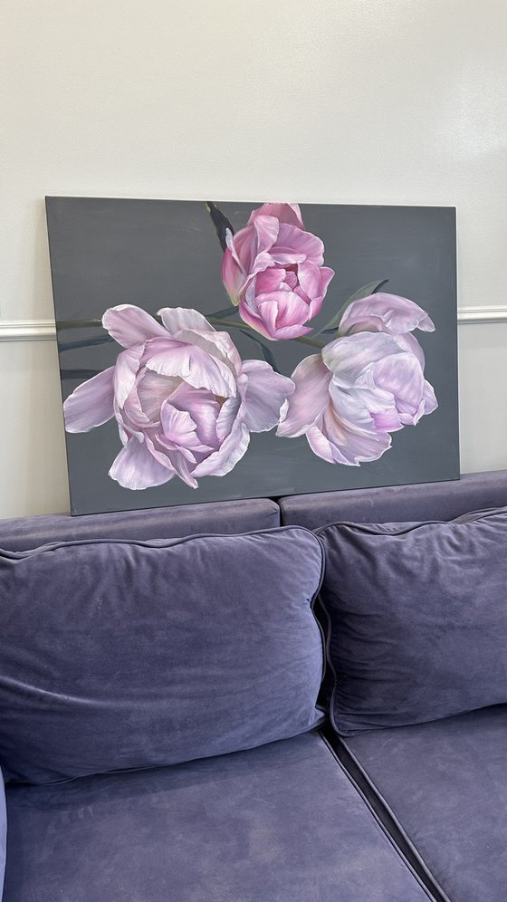 The tenderness of peonies
